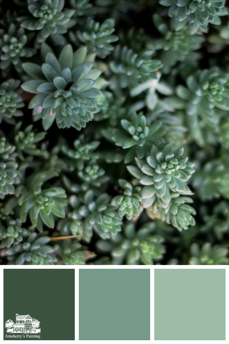 Color Palette // Bed of Green SW6461 Isle of Pines, SW9042 Verdigreen, SW6464 Aloe