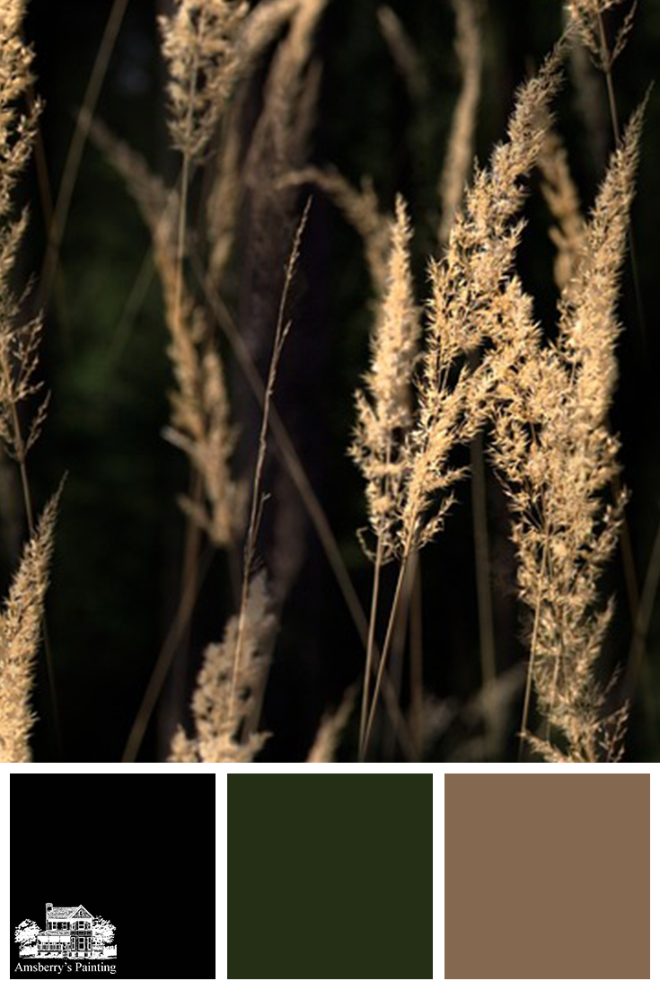 Color Palette // Golden Growth SW6258 Tricorn Black, SW2847 Roycroft Bottle Green, SW6145 Thatch Brown