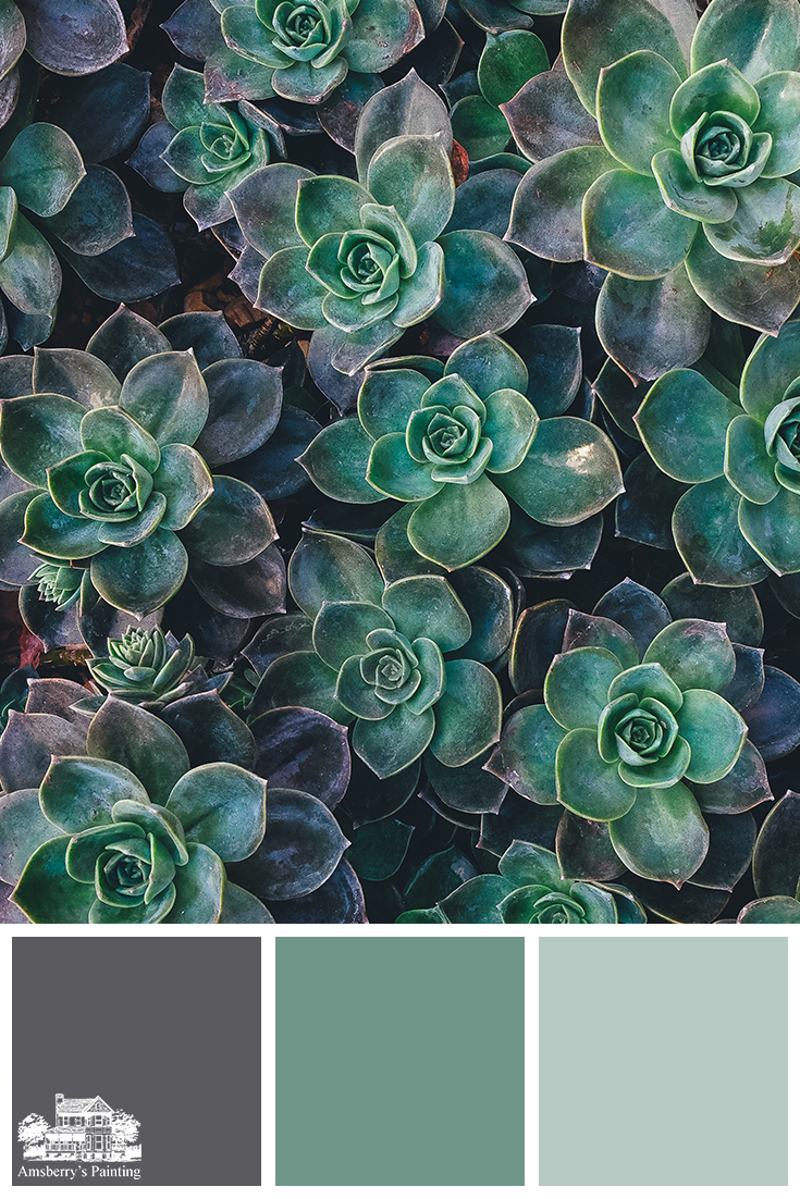 Color Palette // Succulent Dream SW7674 Peppercorn, SW6467 Kendal Green, SW6463 Breaktime