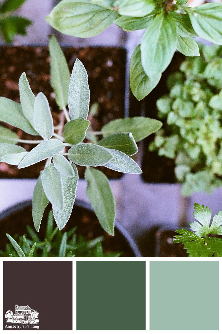 Color Palette // Planting SW7630 Raisin, SW6461 Isle of Pines, SW6465 Spearmint