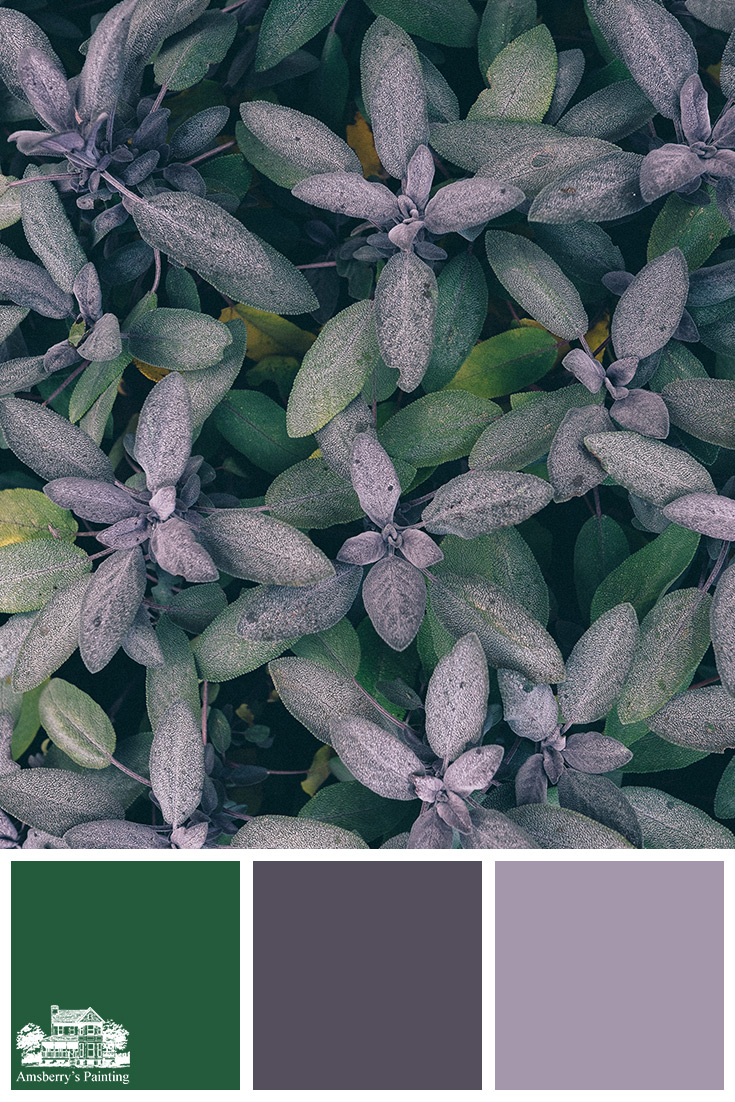 Color Palette // Purple Blanket SW6454 Shamrock, SW6264 Midnight, SW9075 Berry Cream