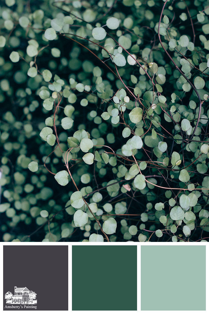 Color Palette // Green Tangle SW6279 Black Swan, SW6468 Hunt Club, SW6465 Spearmint