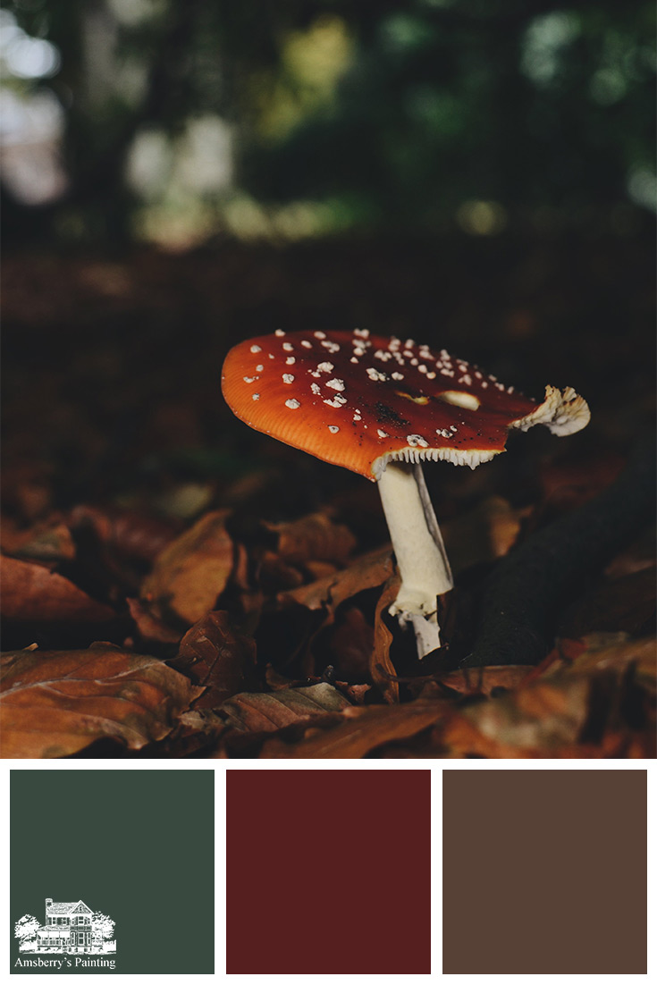 Color Palette // Woodland Finds SW2847 Roycroft Bottle Green, SW2802 Rookwood Red, SW6076 Turkish Coffee