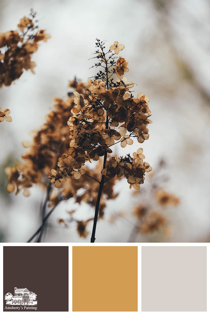 Color Palette // Fall Floral SW6006 Black Bean, SW6383 Golden Rule, SW7634 Pediment