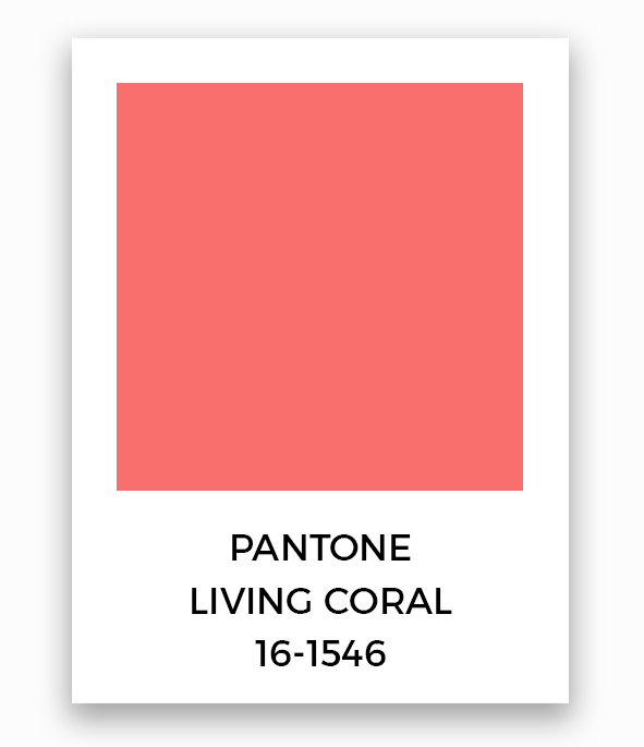 Paint Color Predictions 2019: New Year, New Colors