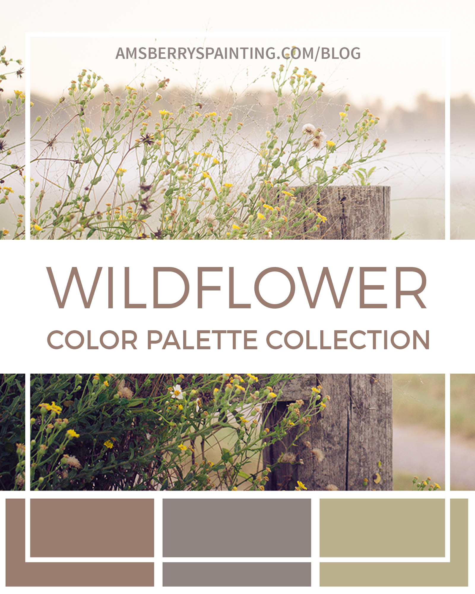 Coffee Color Palette Collection - Amsberry's Painting Company