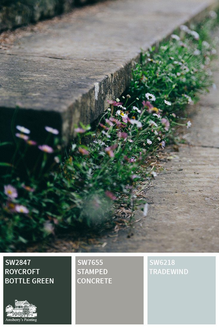 Wildflower Color Palette Collection